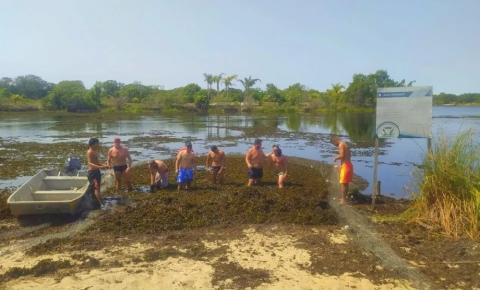 Itapemirim faz mutirão de limpeza de algas na Lagoa Guanandy
